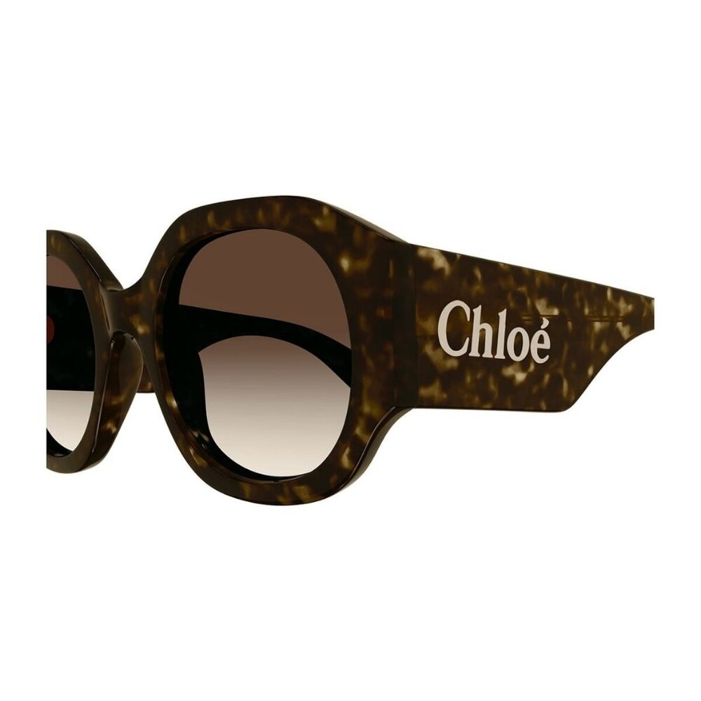 New CHLOE Havana Square CH0234S 002 Sunglasses Women - Picture 3 of 4